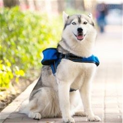 西藏阿里 新款宠物训练腰包 户外多功能训犬包狗狗零食袋 新款外出宠物腰包