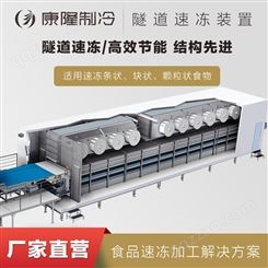 康隆制冷速冻柜超低温急冻设备肉类单冻机隧道式速冻机