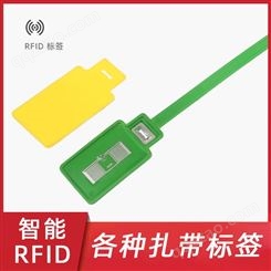 防盗防拆资产管理RFID扎带厂定制气瓶标签智能rfid扎带标签