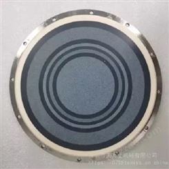 天力士TANISS晶圆（晶片）减薄/研磨工作盘 半导体封装 grinding