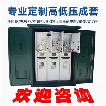 六氟化硫充气柜XGN15-12高压固体柜半全绝缘环网柜开闭所成套sf6