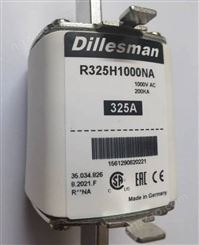 R350H1000NA 熔断器 德国 Dillesman 迪勒斯曼