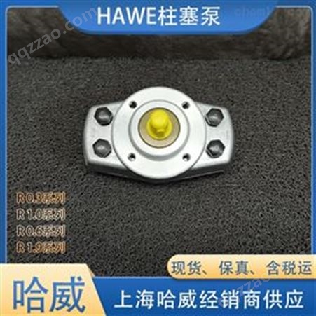液压件HAWE经销R 0,5-0,5哈威柱塞泵