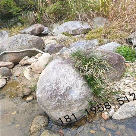 驳岸石料- 鱼池假山- 草坪点缀- 沿岸石业- 园林用石