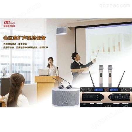 帝琪无线话筒主持会议系统设备一拖二无线手持话筒DI-3800