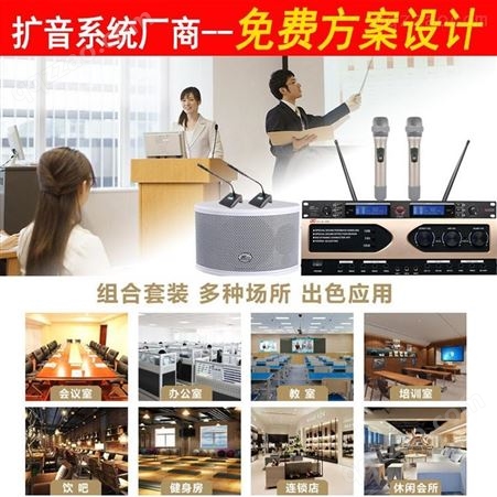 帝琪会议厅扩声系统方案设计100平会议室音响设备一拖二无线手持话筒DI-3800