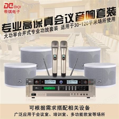 帝琪舞台演出无线话筒厂家会议厅音响系统设备公司一拖二无线话筒DI-3802A