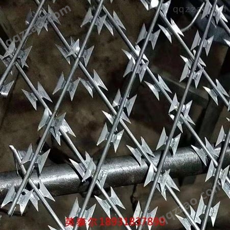 英泰尔厂家 防攀爬滚笼网刀片刺绳 机场刺绳护栏网