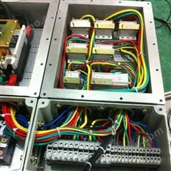 金荣防爆IP54-IP65配电箱 照明配电箱IIB-IIC定做