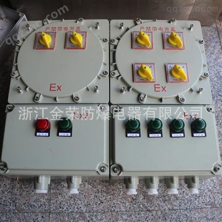 金荣防爆IP54-IP65配电箱 照明配电箱IIB-IIC定做