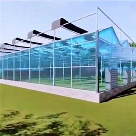 异形玻璃温室